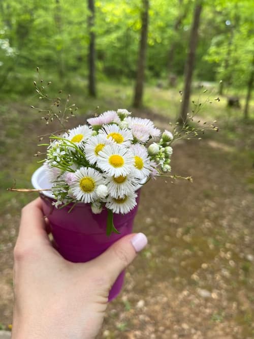 screen free activities for kids: collect flowers